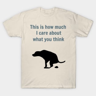 How much I care about what you think T-Shirt